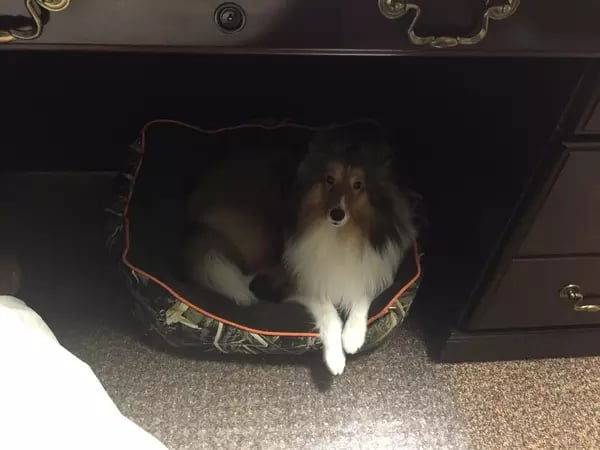 Weekly Office Photo
