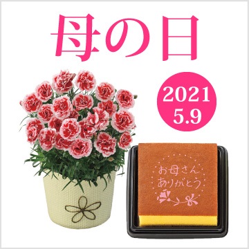 日頃の「ありがとう」の気持ちをこめてお花やスイーツの贈り物はいかがですか?
赤ちゃん本舗ではお花やスイーツなどの厳選31メニューを取り揃えております。
※すべての商品に感謝の気持ちを込めたメッセージカードが付きます。
※送料無料
※数量限定の為なくなり次第終了となります。
店頭でのご注文はサービスカウンターまでお越しくださいませ。