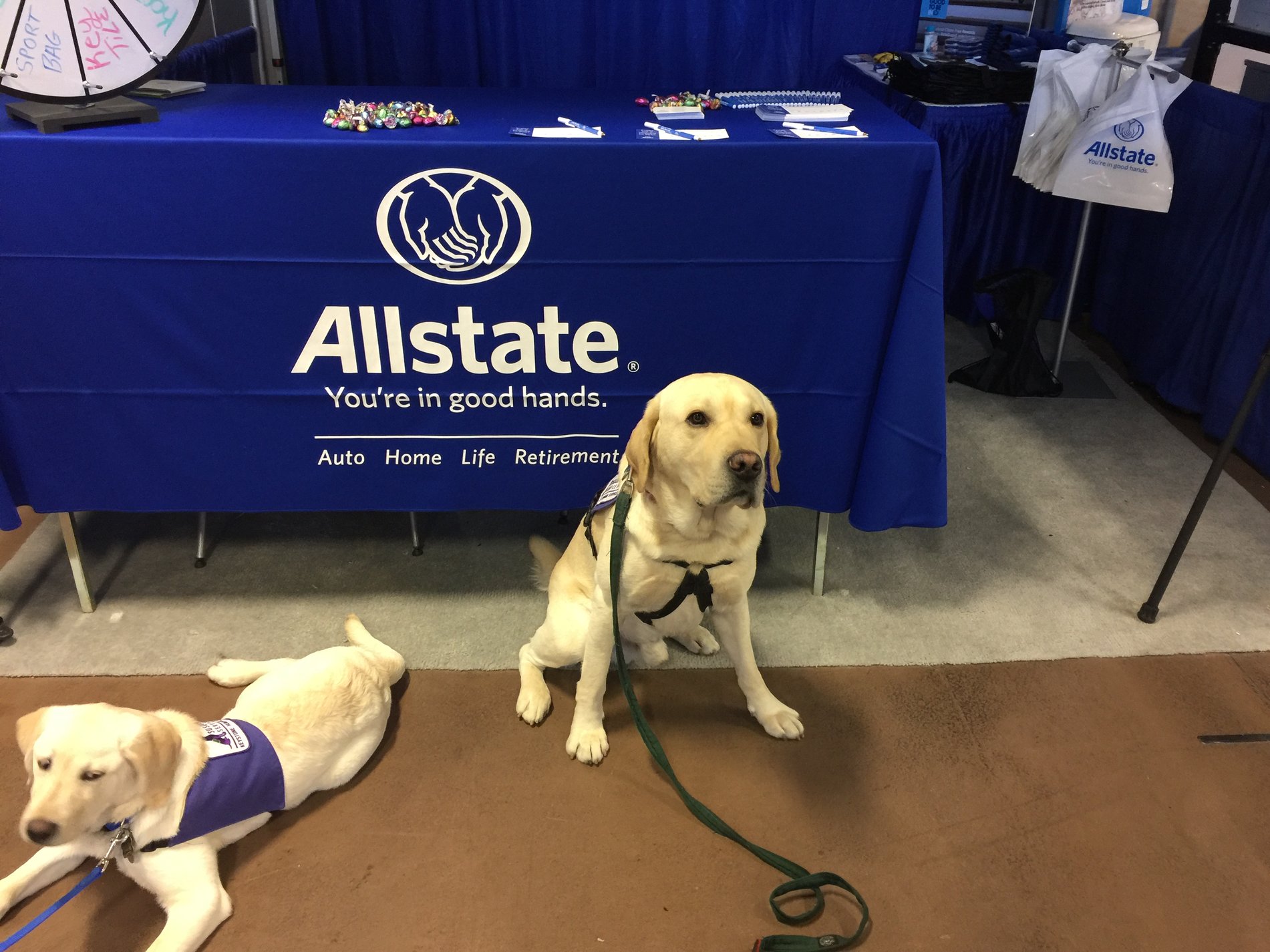 Klick Lewis Insurance Agency proudly supports the "Susquehanna Service Dogs"