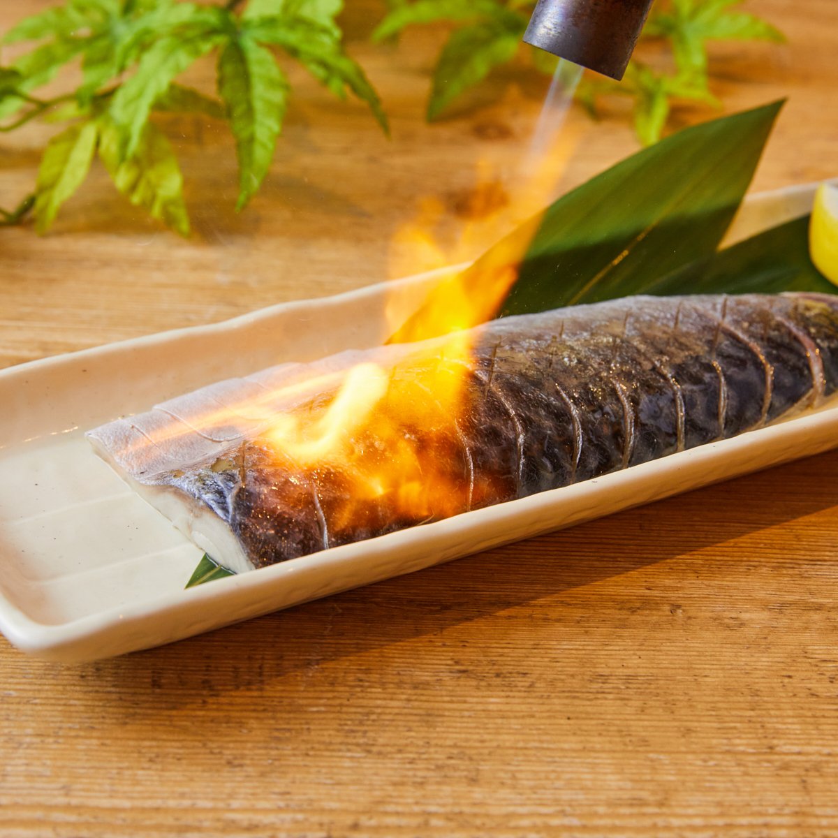 炙り〆サバ