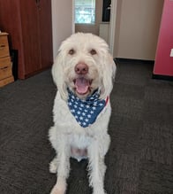 Photo of Bentley