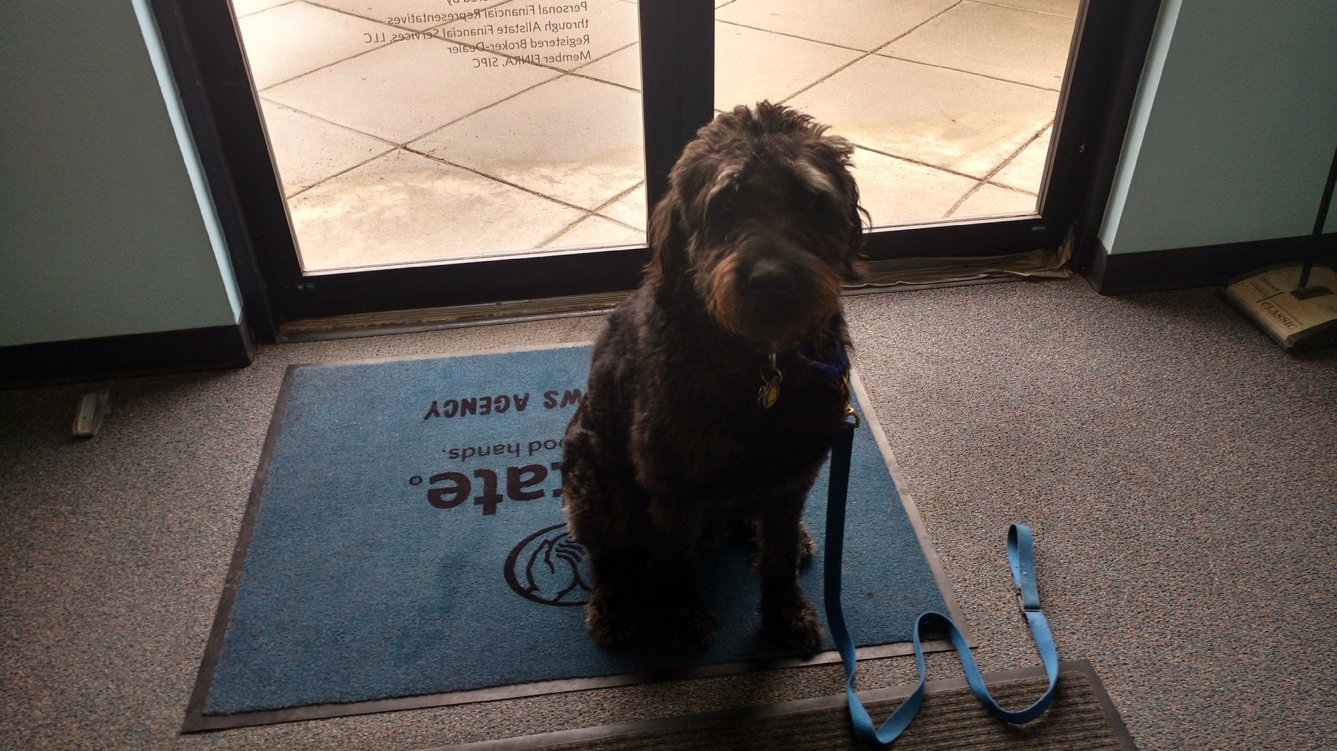 Albert always ready to help out.