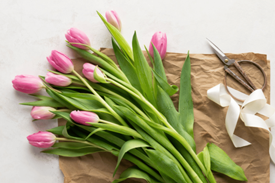 bouquet of tulips for spring