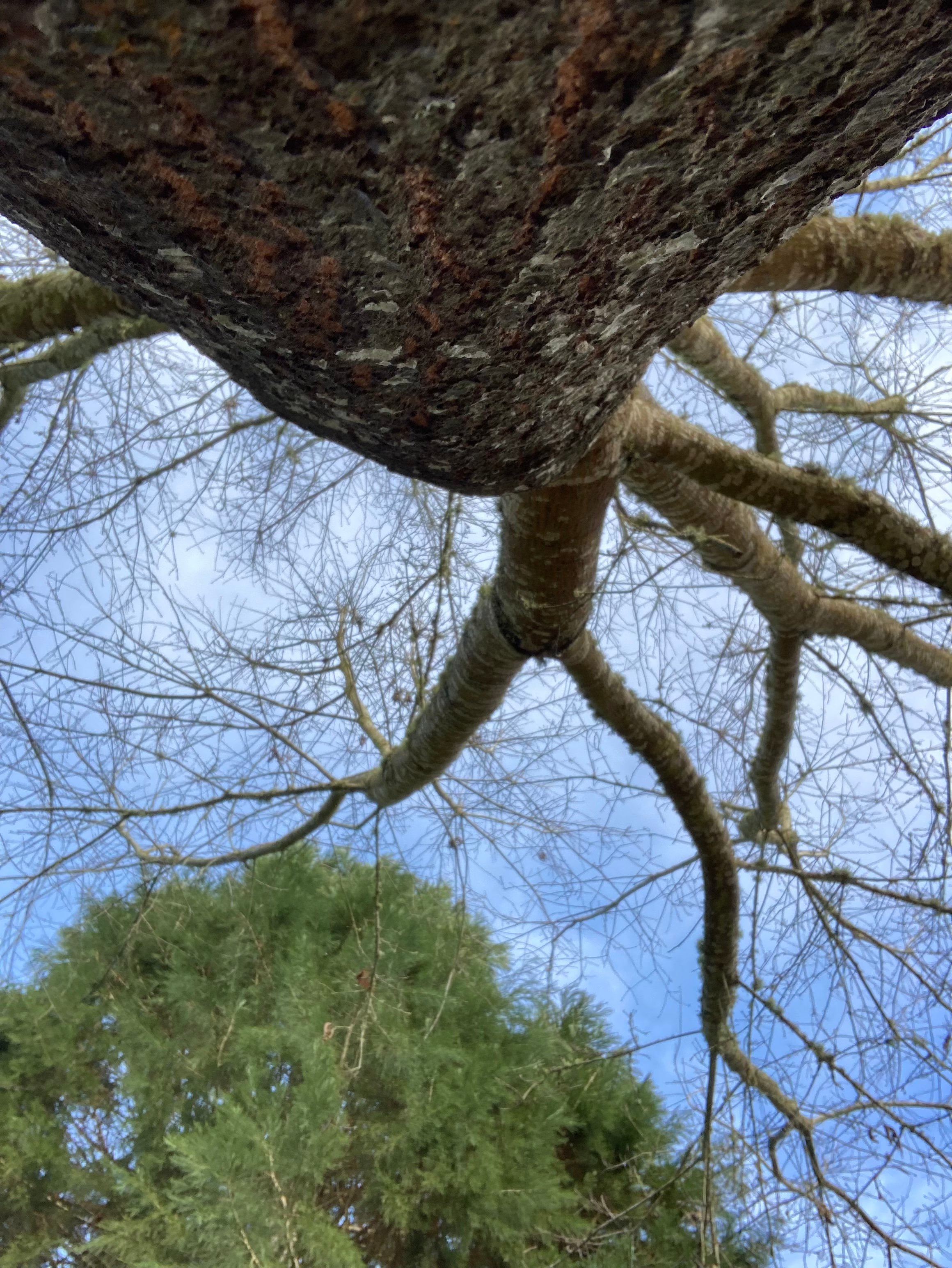 A different perspective is having the right insurance.