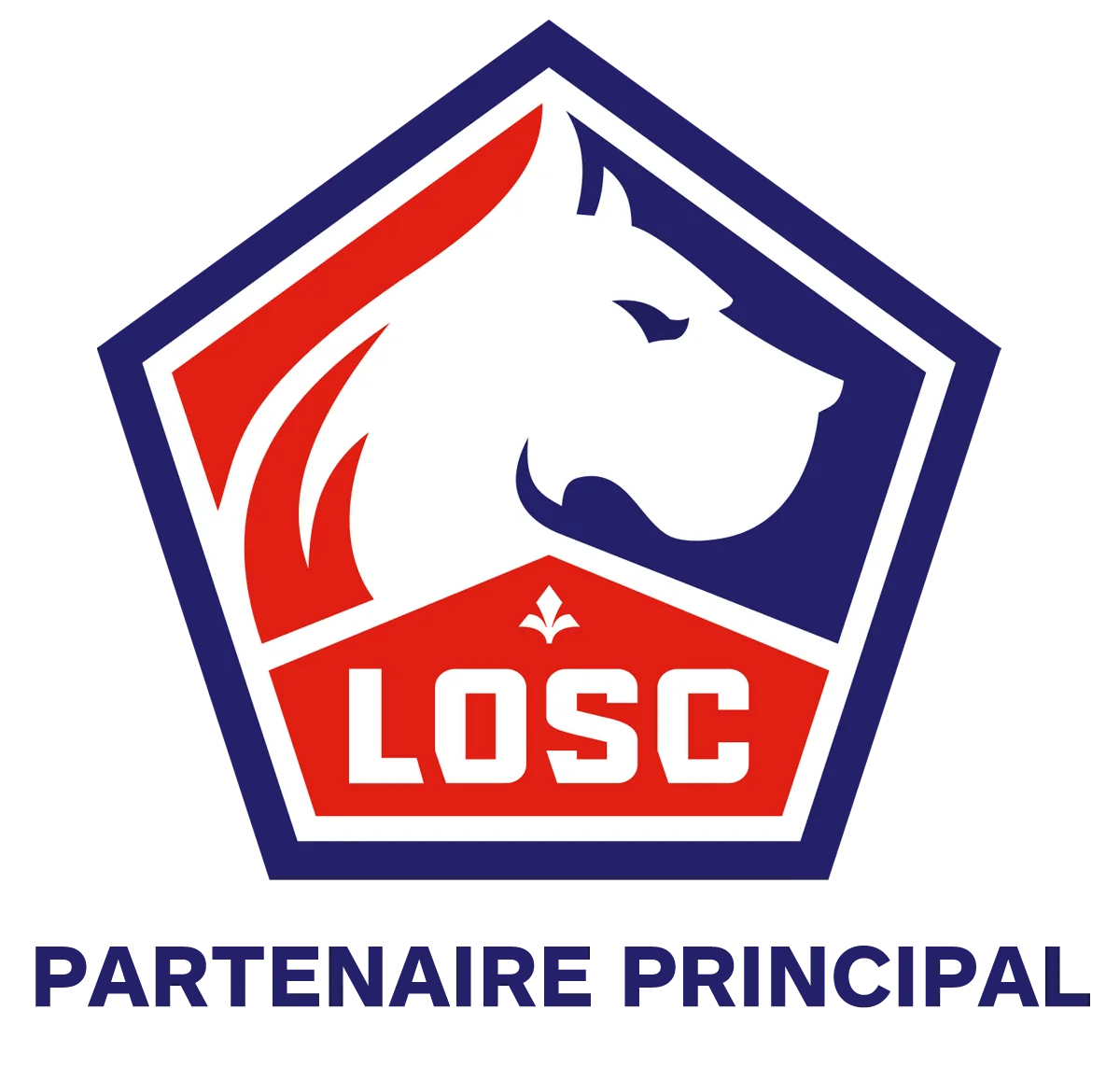 LOSC
BOULANGER FACHES THUMESNIL