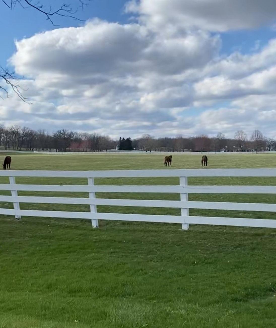 Hero Background Image