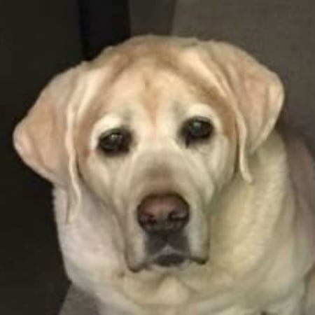 Photo of agent