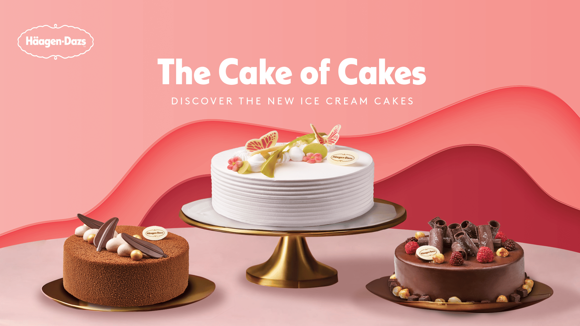 Discover new Ice Cream Cakes