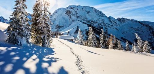 Hero Background Image