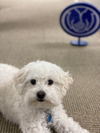 Photo of agent