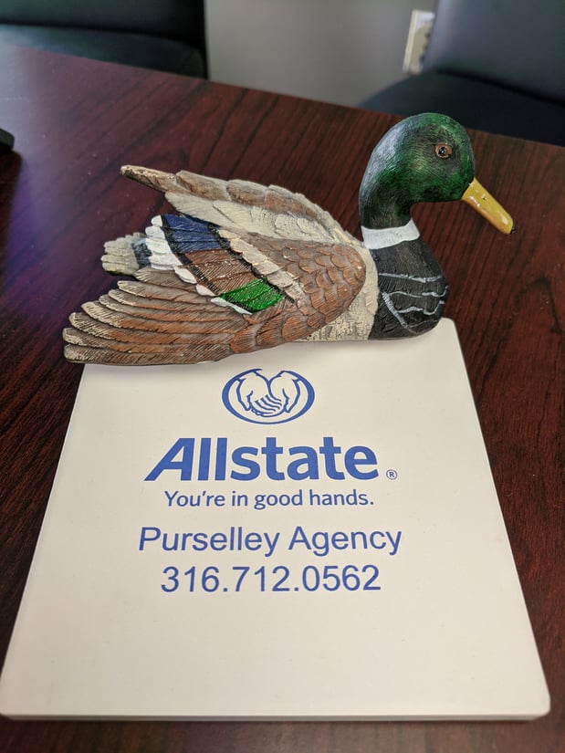 Chuck the Duck... Our Official Office Mascot.