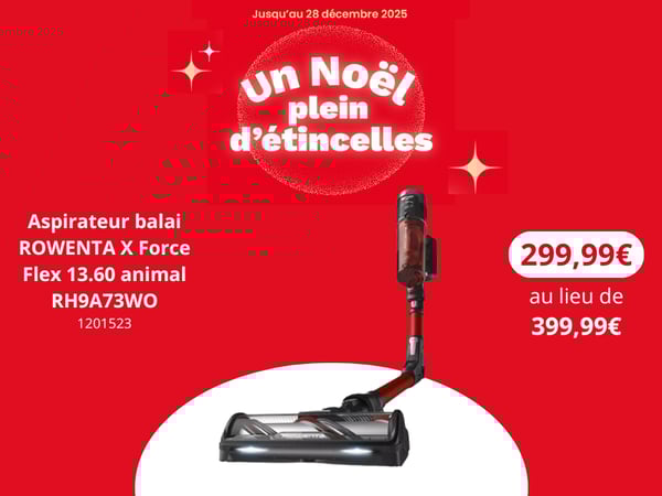 offre noel Aspirateur balai ROWENTA X Force Flex 13.60 animal RH9A73WO