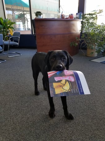 Photo of agent