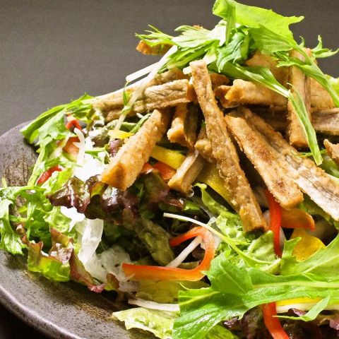 博多ごぼ天サラダ~焙煎胡麻ドレッシング~