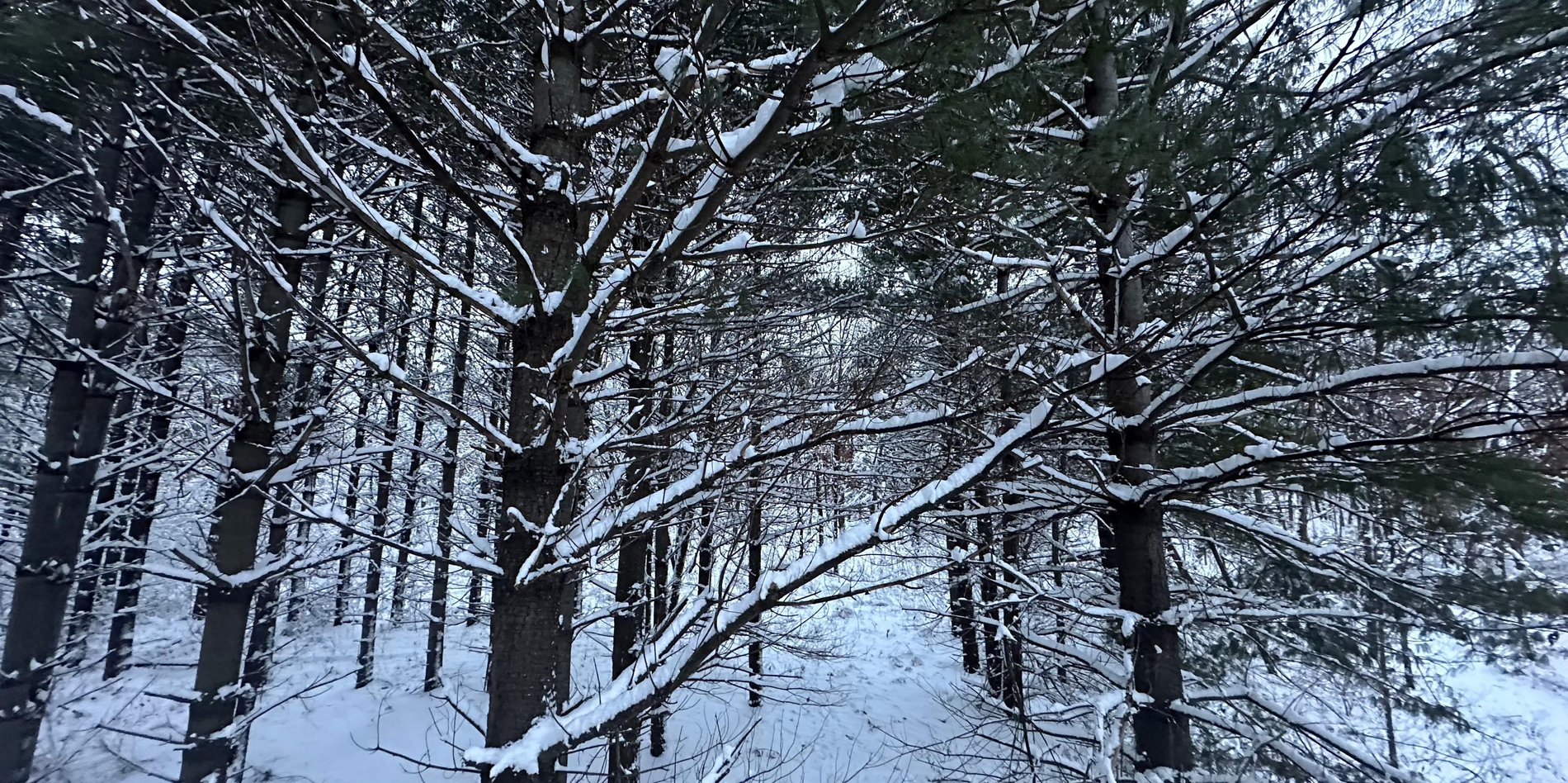 Hero Background Image