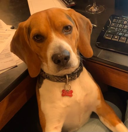 Photo of agent