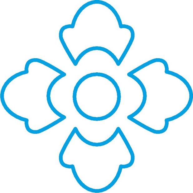 Icon Image