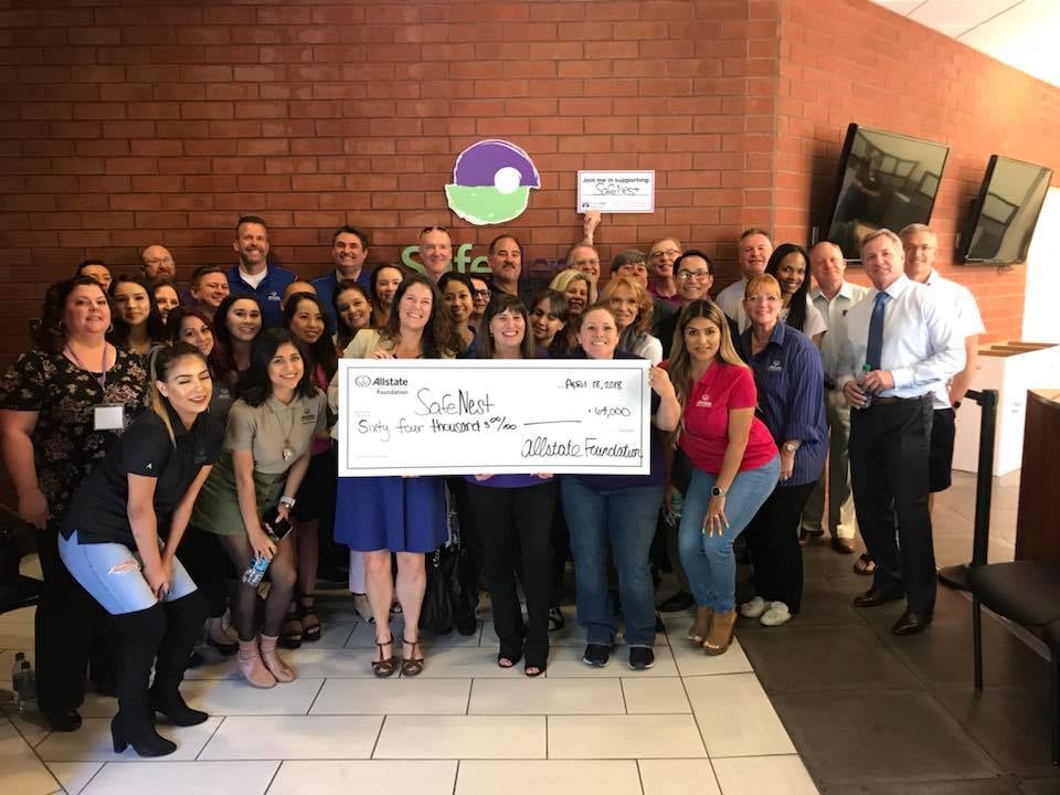 Safe Nest Check presentation 2018