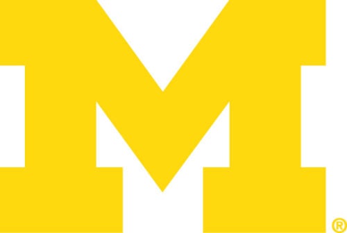 Cheryl Bowker - College Football Fun at University of Michigan