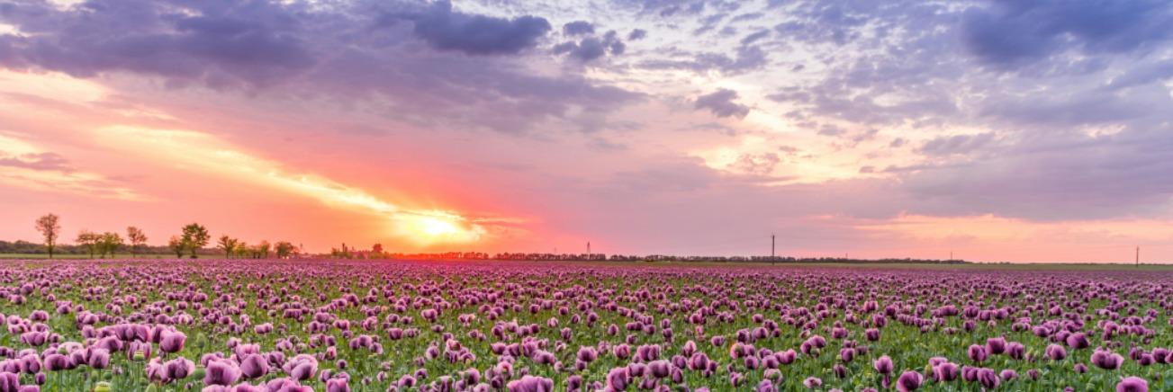 Hero Background Image