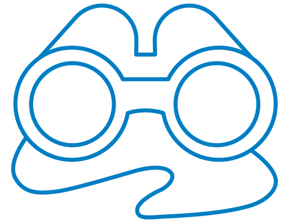 Icon Image