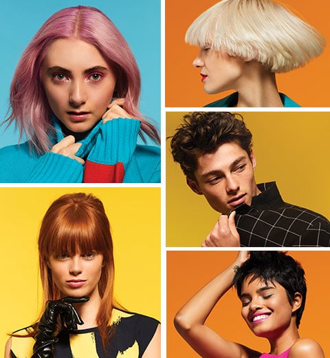 Vibrant Colors Promo