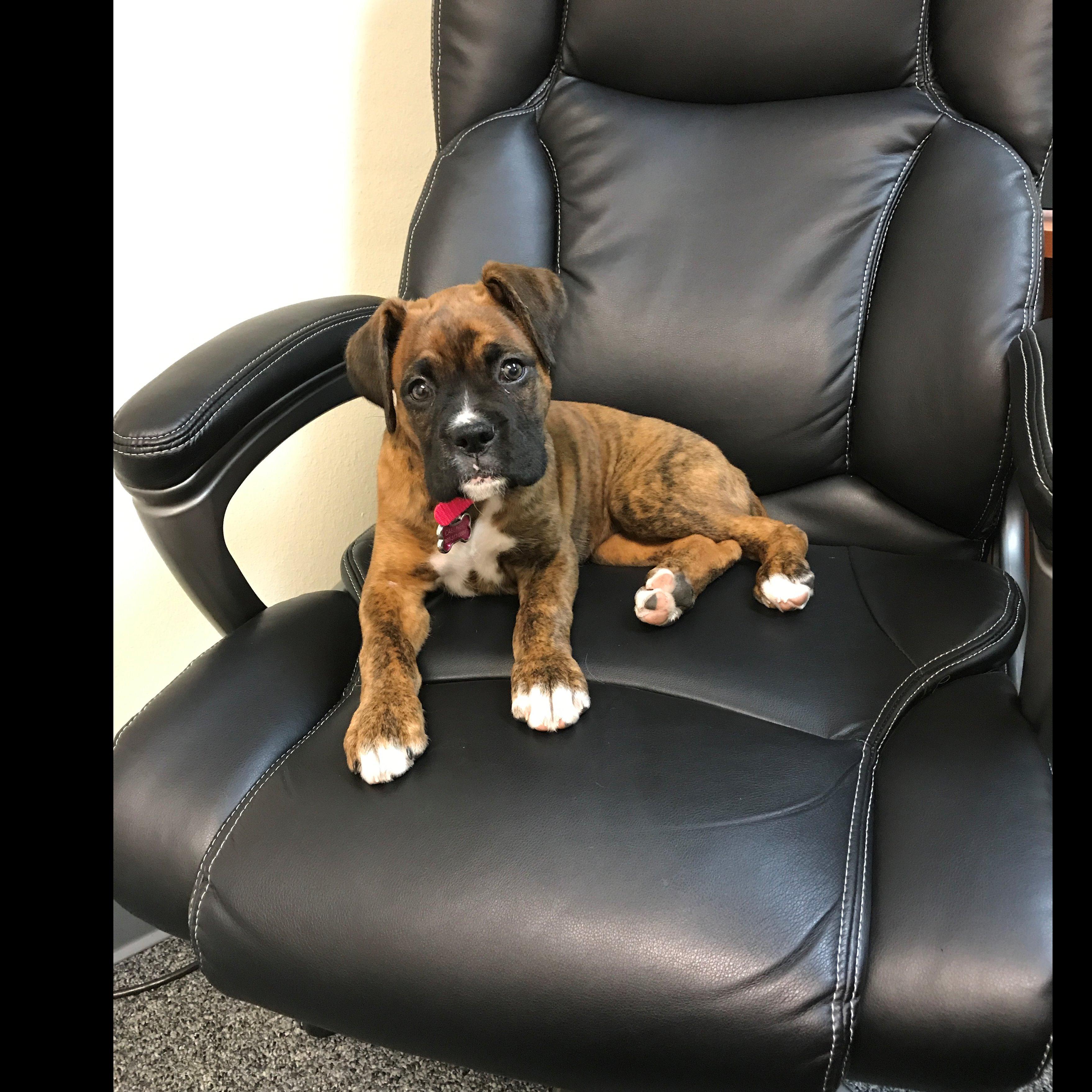 Sascha is here in the office to talk Life Insurance with you.
Stop by and say hello