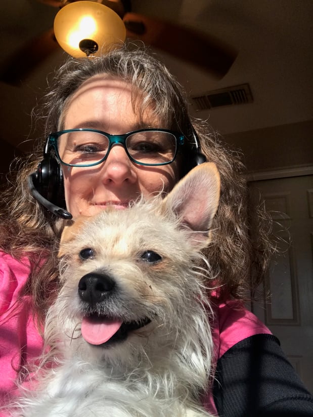 Pet's at home during COVID. Scrappy !