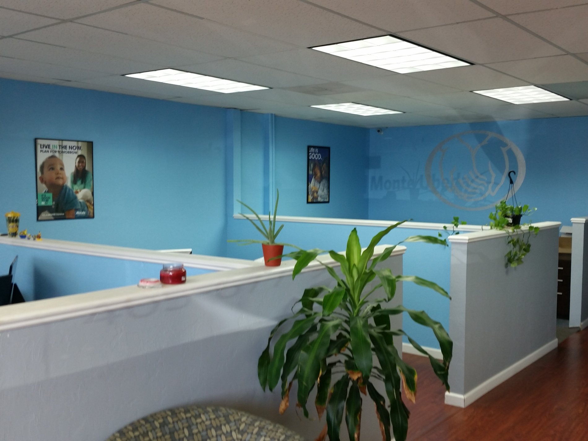 Photo gallery image