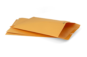 Clasp envelopes 3 pk.
10"x 13"