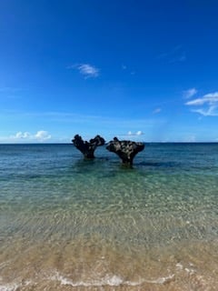ここはどこでしょう?
日本のビーチです。
答えは 沖縄・古利島!ハートロック!
レンタカーで古宇利島ドライブ。最高でした~♪
今年はジャングリア沖縄が7/25にOPEN
ジャンングリアから古利島へも車で約30分。
今年は沖縄へ出掛けてみませんか。
お気軽にご相談下さい。