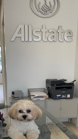 Photo of agent