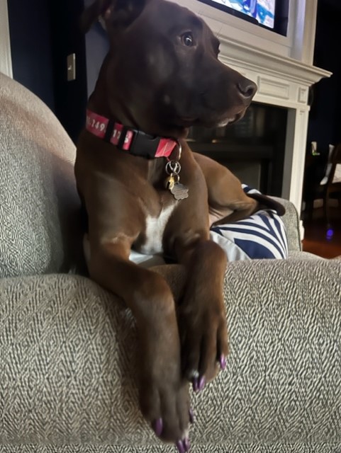Lucy