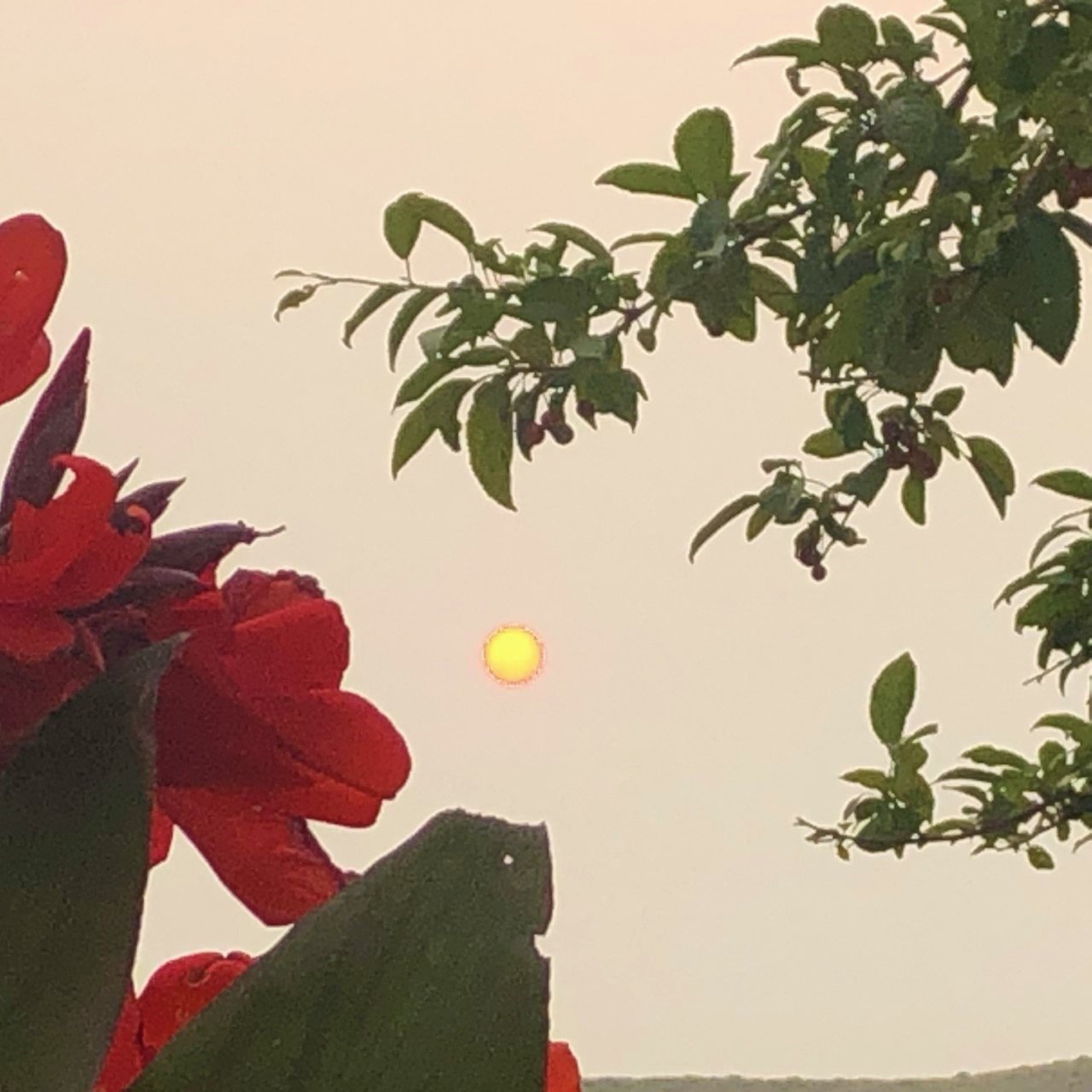 An amazing sunrise