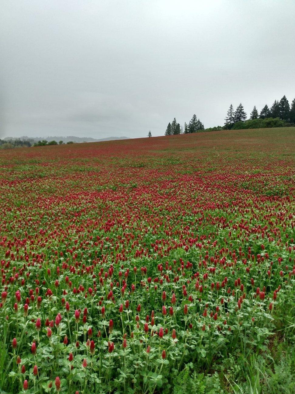A field of possibilities! Now is the time to make things happen.