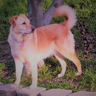 Photo of Sunshine