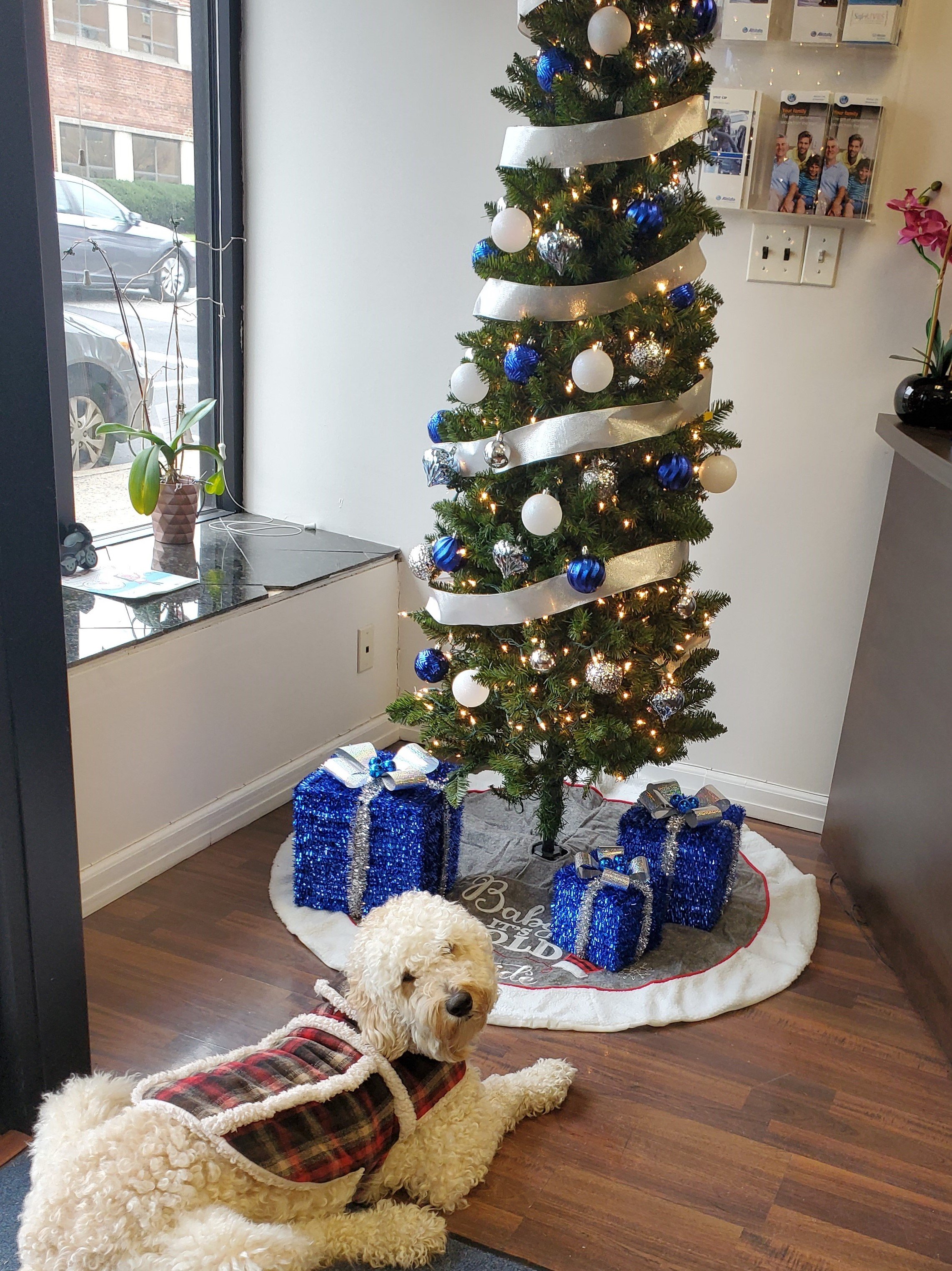 Nari says Happy Holidays!