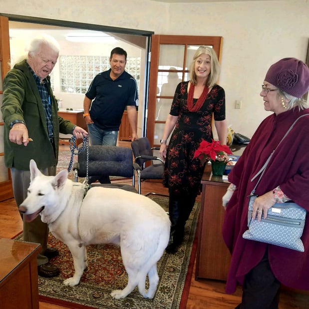 A beautiful white German Shepard who stopped by the agency.