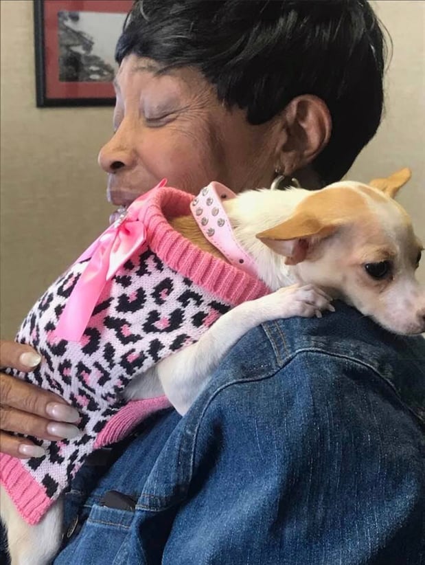One of the customers that adopted one of our foster babies bringing her by to show off her new outfit.