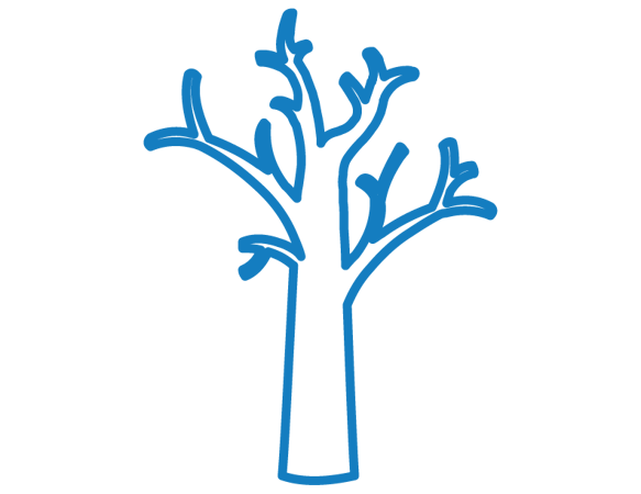 Icon Image
