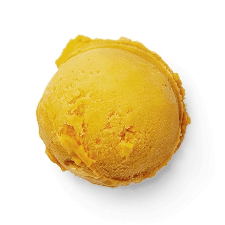 Mango Sorbet