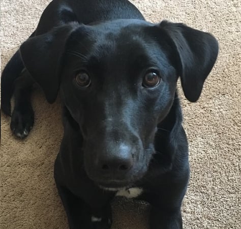 Photo of agent