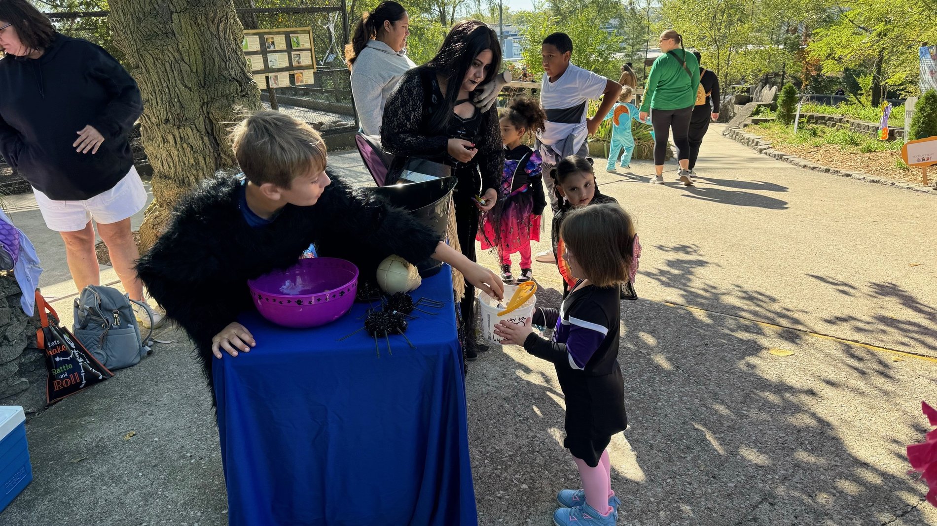Boo at the Zoo