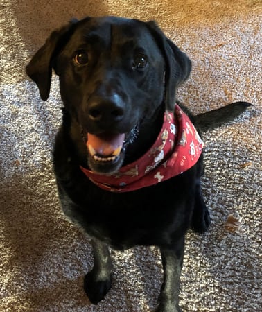 Photo of agent