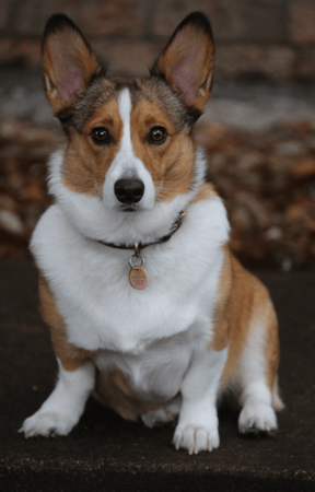 Photo of agent