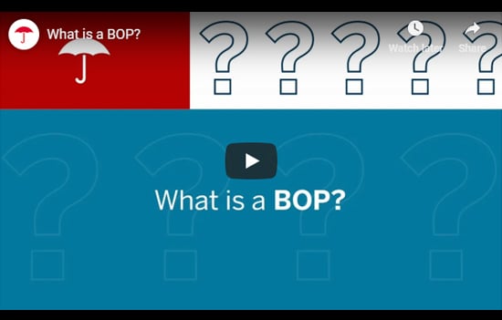 A graphic image titled "What is a BOP?"