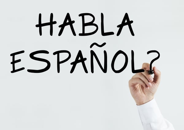 Michelle Terelak - Receive Help in Spanish