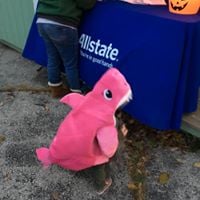 Trunk or Treat