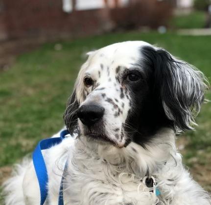 Photo of agent