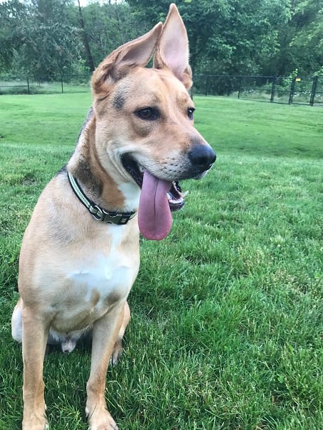 Kona is excited to be part of the team